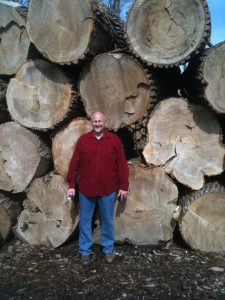 Huge Cottonwood Logs