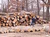 Sawmill - Hardwood or Dunnage lumber