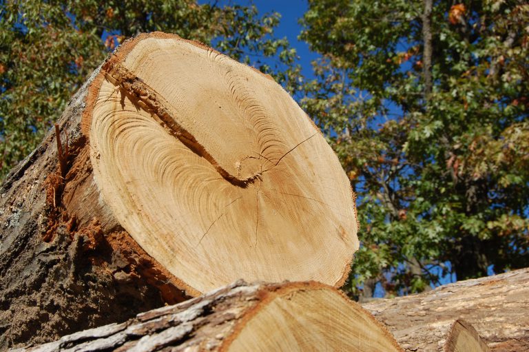 OAK LUMBER SUPPLIER Boone Valley Forest Products